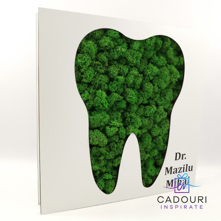 Tablou cu licheni – Cadou dentist