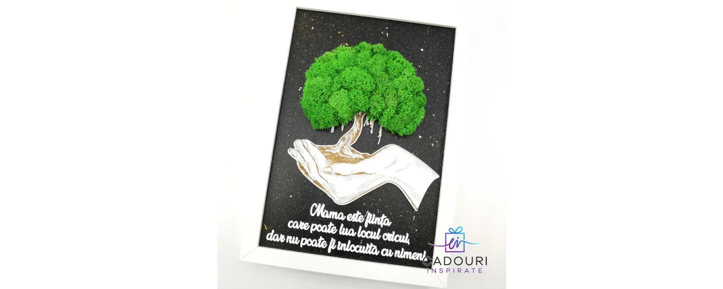 Tablouri cu licheni | cadouri-inspirate.ro